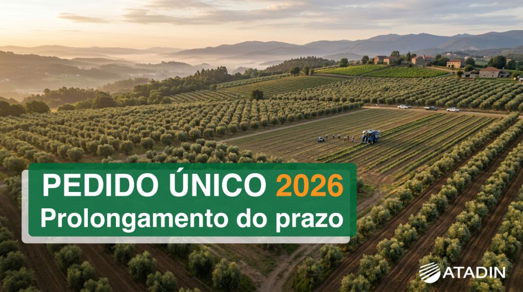pedido único