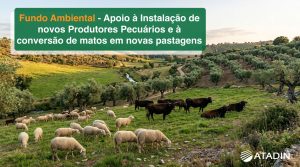 Abertura de Concurso Fundo Ambiental – Apoio à instalação de novos produtores pecuários e conversão de matos em novas pastagens