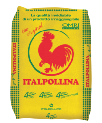 ITALPOLLINA
