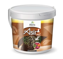 ASIR FRUIT