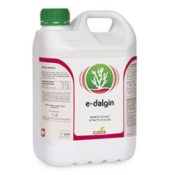 e-DALGIN