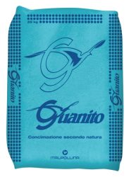 Guanito
