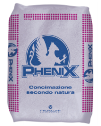 PHENIX